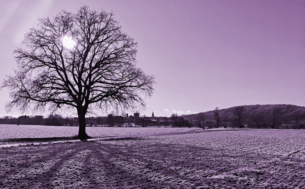 website template image